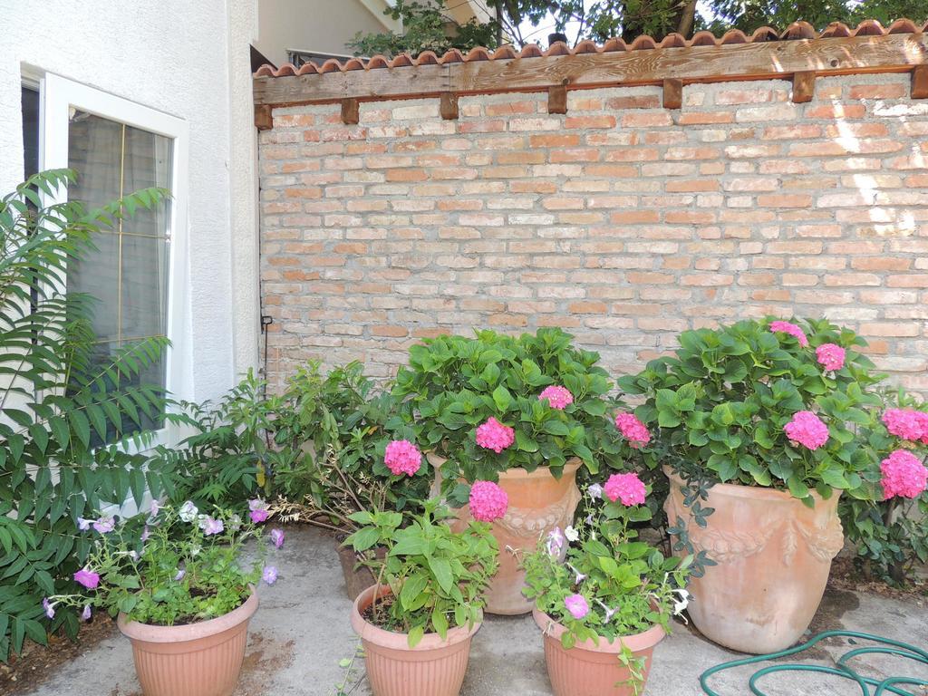 Apartments Antonija マリンスカ エクステリア 写真